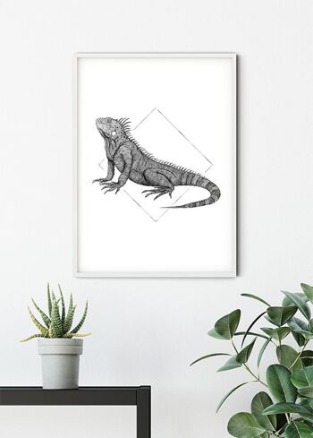 Papier Peint - Iguane Blanc - Dimensions : 50 x 70 cm 6