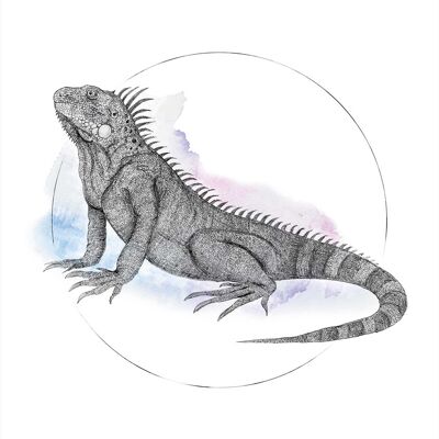 Mural - Iguana Acuarela - Medida: 30 x 40 cm