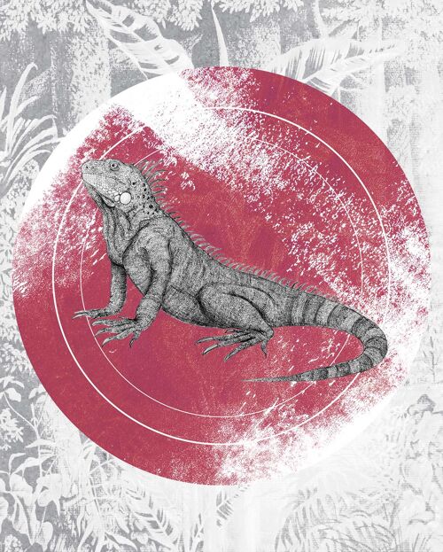 Wandbild - Iguana Circle - Größe: 40 x 50 cm