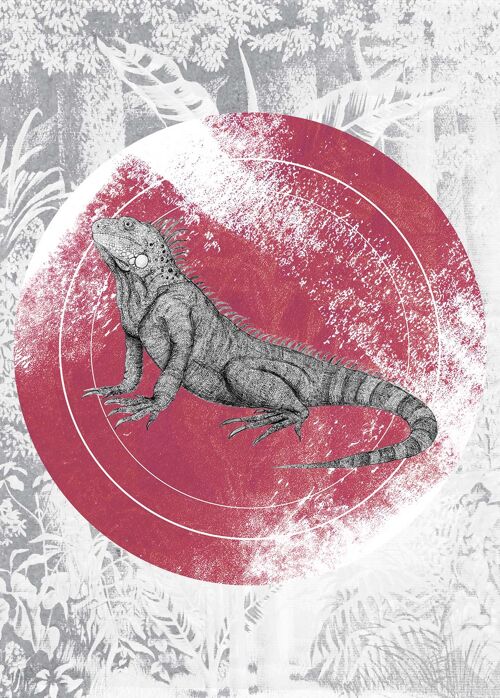 Wandbild - Iguana Circle - Größe: 50 x 70 cm