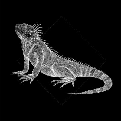 Murale - Iguana Black - Dimensioni: 40 x 50 cm