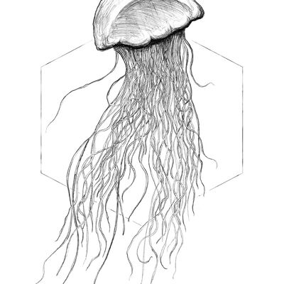 Wandbild - Jellyfish White - Größe: 30 x 40 cm