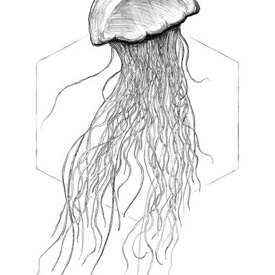 Mural - Jellyfish White - Size: 50 x 70 cm