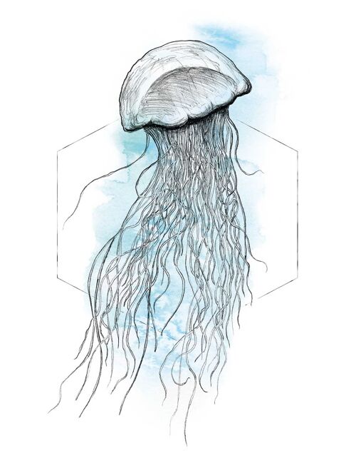 Wandbild - Jellyfish Watercolor - Größe: 30 x 40 cm