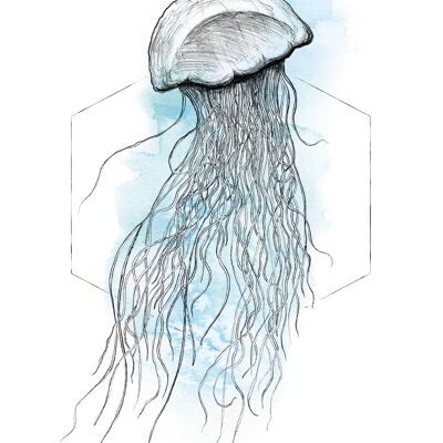 Wandbild - Jellyfish Watercolor - Größe: 30 x 40 cm