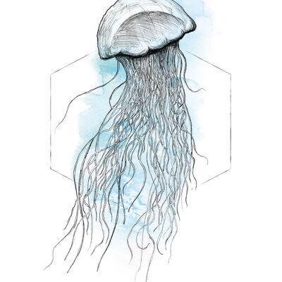 Wandbild - Jellyfish Watercolor - Größe: 40 x 50 cm