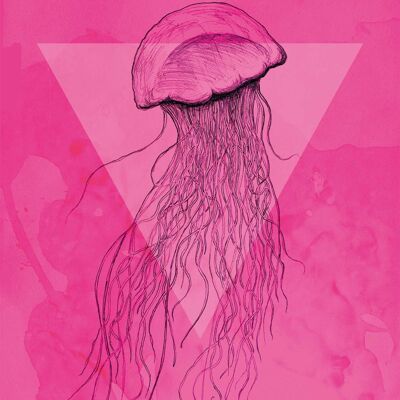Wandbild - Jellyfish Pink - Größe: 30 x 40 cm