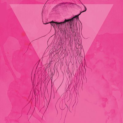 Wandbild - Jellyfish Pink - Größe: 40 x 50 cm
