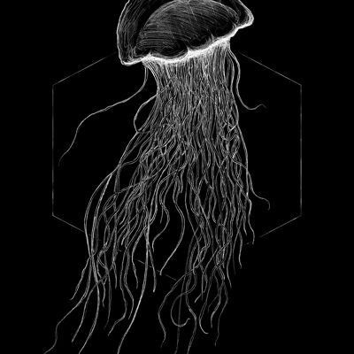 Mural - Medusas Negras - Medida: 30 x 40 cm