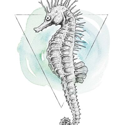 Wandbild - Sea Horse Watercolor - Größe: 30 x 40 cm