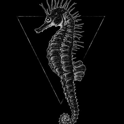 Mural - Sea Horse Black - Size: 40 x 50 cm