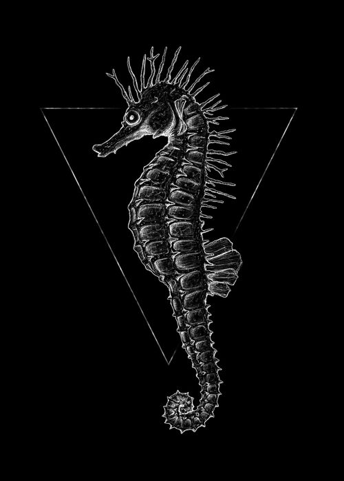 Wandbild - Sea Horse Black - Größe: 50 x 70 cm