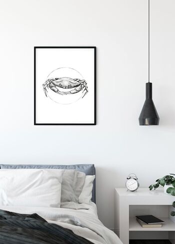 Papier Peint - Crabe Blanc - Format : 40 x 50 cm 3