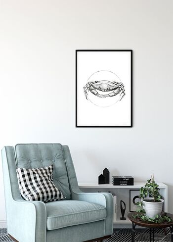 Papier Peint - Crabe Blanc - Format : 40 x 50 cm 4