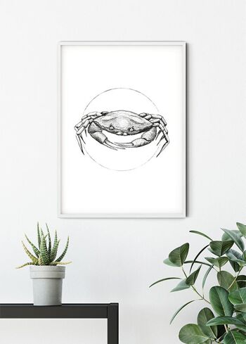 Papier Peint - Crabe Blanc - Format : 40 x 50 cm 6