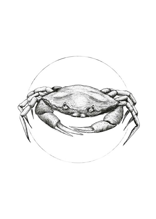 Wandbild - Crab White - Größe: 50 x 70 cm