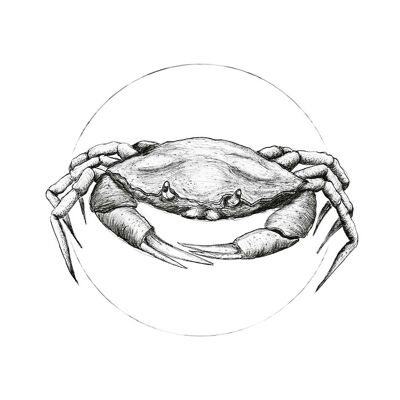 Mural - Crab White - Size: 50 x 70 cm