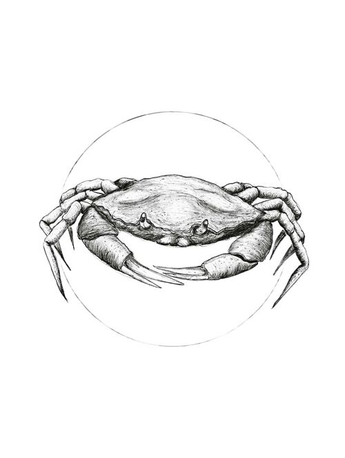 Wandbild - Crab White - Größe: 30 x 40 cm