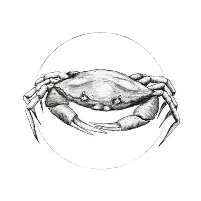 Mural - Crab White - Size: 30 x 40 cm
