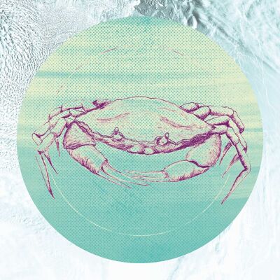 Papier peint - Mer de crabe - Format : 30 x 40 cm