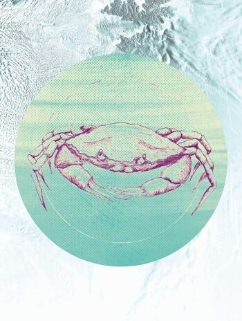 Papier peint - Mer de crabe - Format : 30 x 40 cm 1