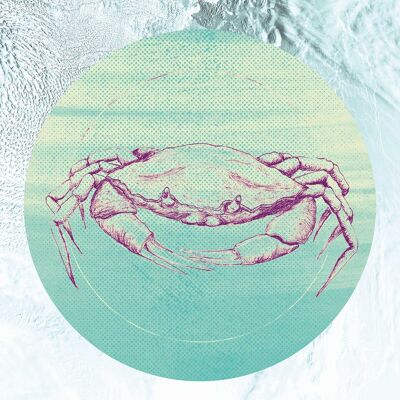 Papier peint - Mer de crabe - Format : 40 x 50 cm