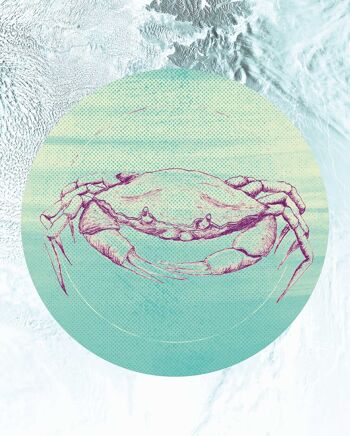 Papier peint - Mer de crabe - Format : 40 x 50 cm 1