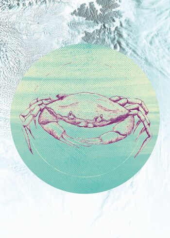 Papier peint - Mer de crabe - Dimensions : 50 x 70 cm 1