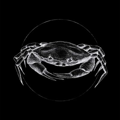 Mural - Crab Black - Size: 30 x 40 cm