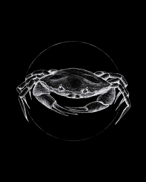 Wandbild - Crab Black - Größe: 40 x 50 cm