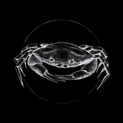 Wandbild - Crab Black - Größe: 40 x 50 cm