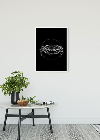 Papier Peint - Crabe Noir - Format : 40 x 50 cm 2