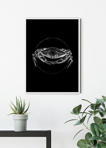 Papier Peint - Crabe Noir - Format : 40 x 50 cm 6