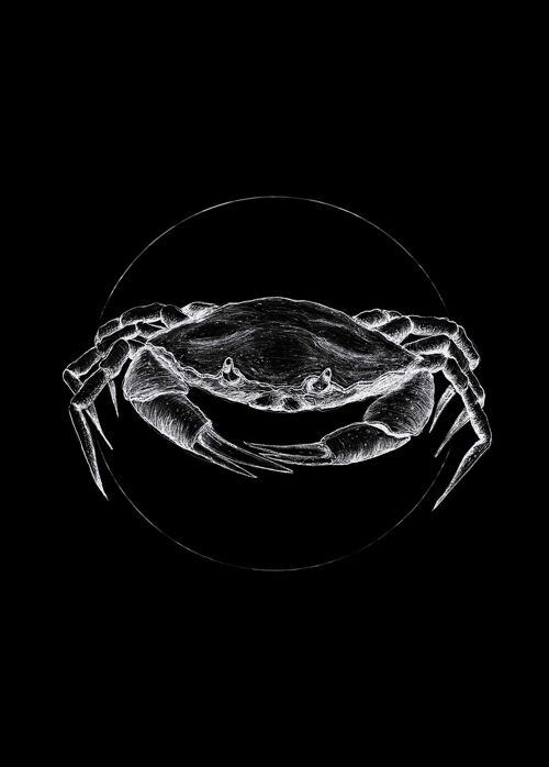 Wandbild - Crab Black - Größe: 50 x 70 cm