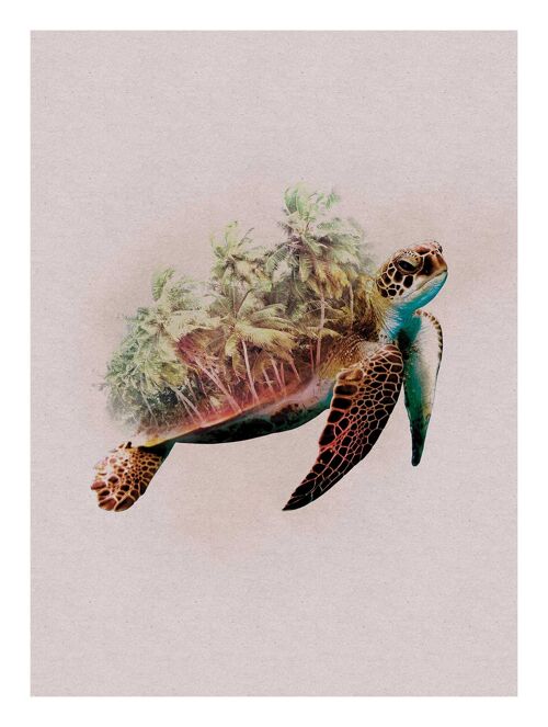 Wandbild - Animals Paradise Turtle - Größe: 30 x 40 cm