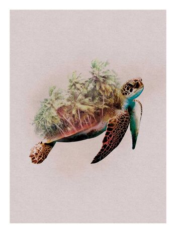 Papier Peint - Animaux Paradis Tortue - Dimensions : 30 x 40 cm 1