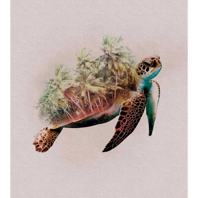 Mural - Animals Paradise Turtle - Size: 40 x 50 cm