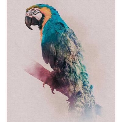 Mural - Animals Paradise Parrot - Size: 30 x 40 cm