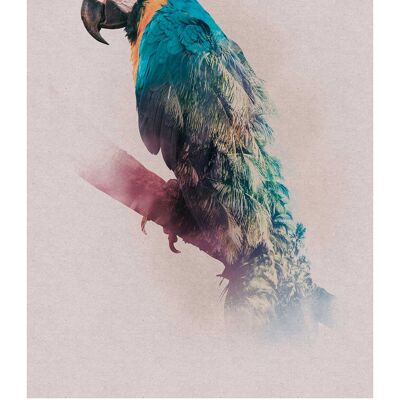 Wandbild - Animals Paradise Parrot - Größe: 50 x 70 cm