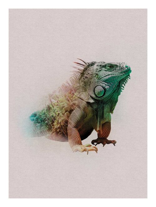 Wandbild - Animals Paradise Iguana - Größe: 30 x 40 cm