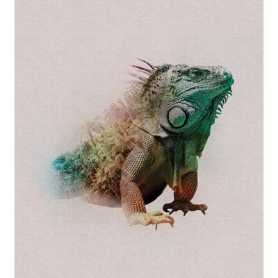 Mural - Animals Paradise Iguana - Size: 40 x 50 cm