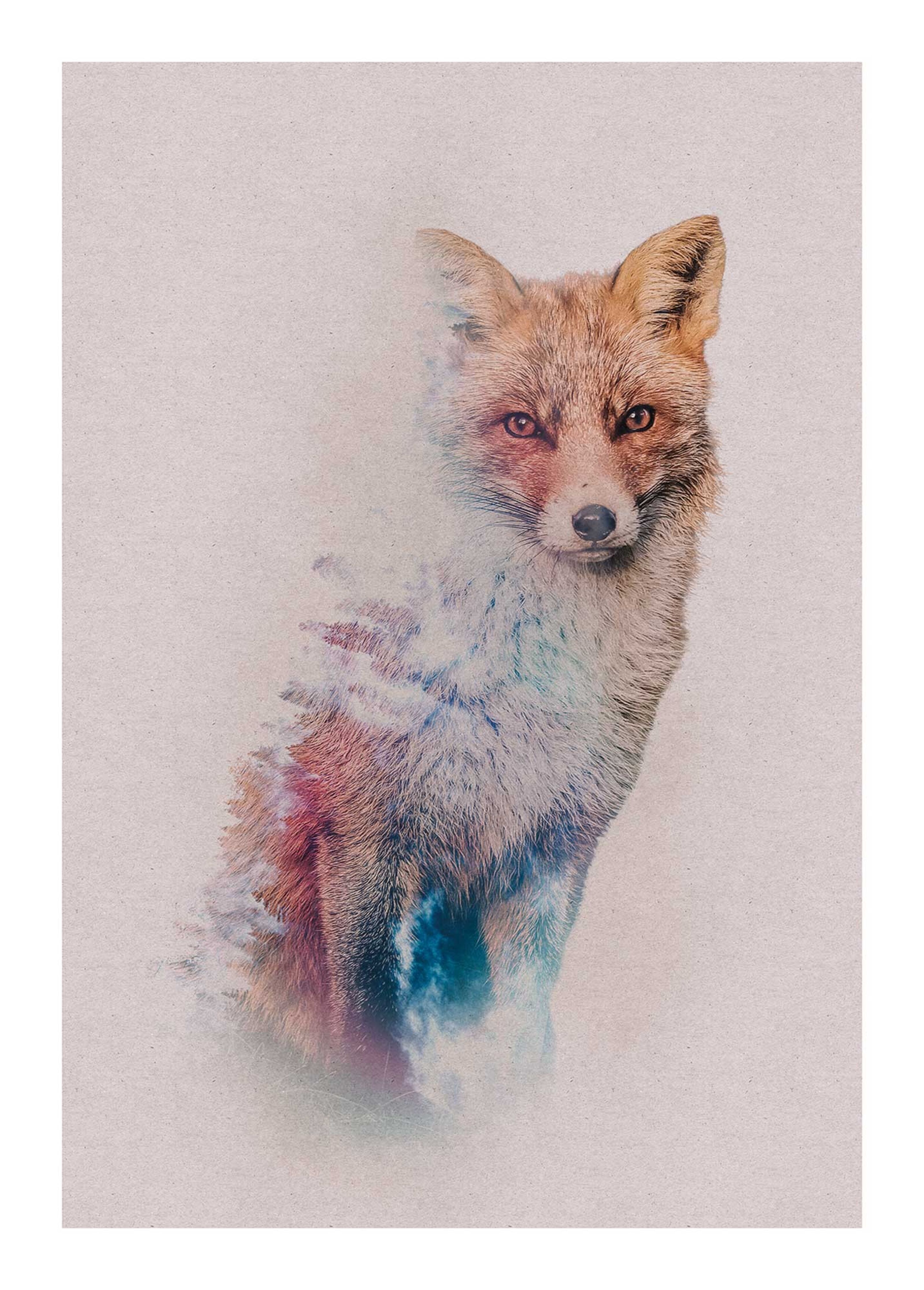 wholesale Mural x Size: Buy - Forest 50 cm - Animals Fox 70