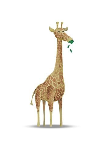 Papier Peint - Girafe Animal Mignon - Dimensions : 50 x 70 cm 1