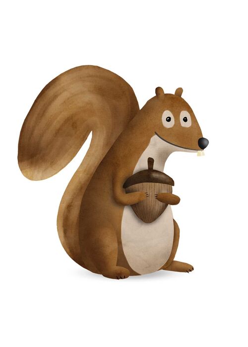 Wandbild - Cute Animal Squirrel - Größe: 50 x 70 cm