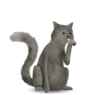 Wandbild - Cute Animal Cat - Größe: 30 x 40 cm