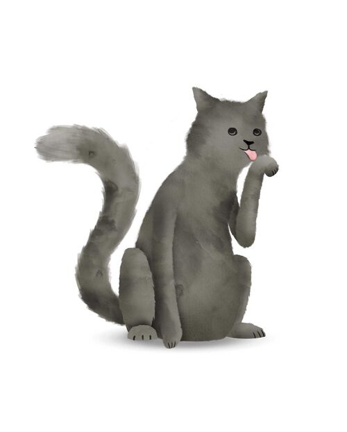 Wandbild - Cute Animal Cat - Größe: 40 x 50 cm