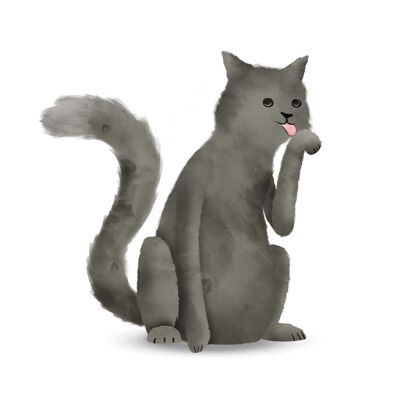 Wandbild - Cute Animal Cat - Größe: 50 x 70 cm