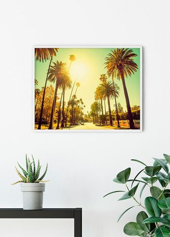 Papier peint - Palm Alley - Format : 70 x 50 cm 6