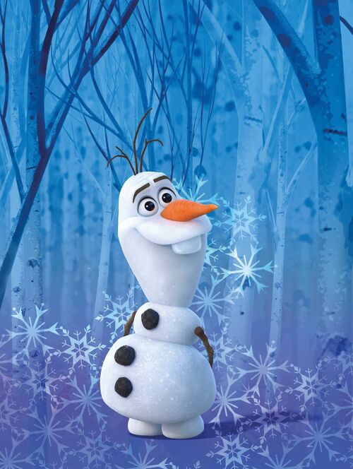 Peluche Olaf Bonhomme de neige La Reine des neiges 30 cm