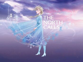 Papier Peint - Frozen Elsa The North Calls - Dimensions : 40 x 30 cm 1